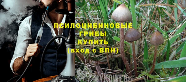 стаф Богородск