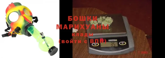 стаф Богородск