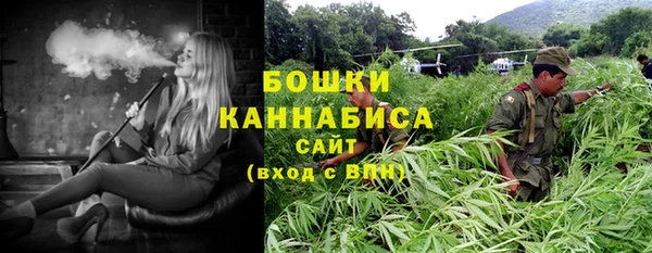 2c-b Богданович