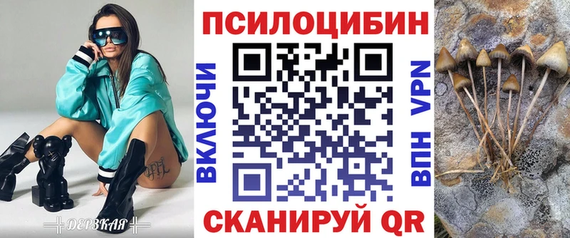 Псилоцибиновые грибы MAGIC MUSHROOMS  площадка наркотические препараты  Туапсе 